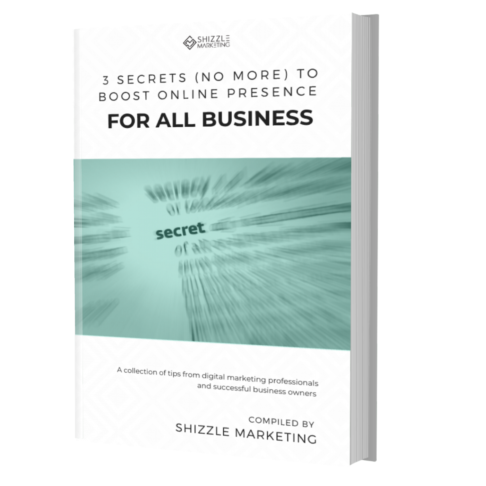 Book cover entitled 3 Secrets (No More) To Boost Online Presence For All Business Compiled By Shizzle Marketing