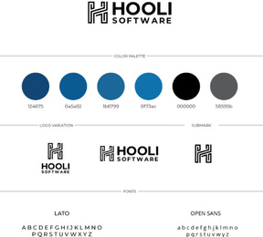 A Hooli Software project featuring their branding guide that includes the logo, color palette and font style